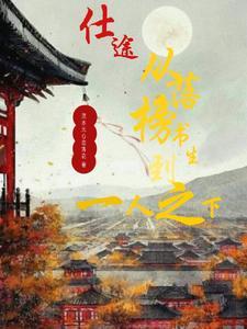 仕途:从落榜书生到一人之下